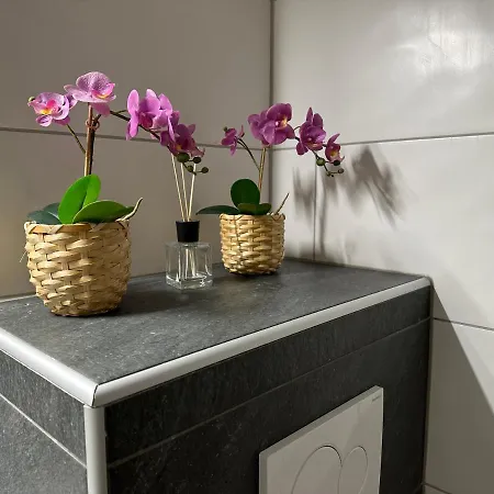 アパート Wohlfuehlapartment Dachsteinblick バート・ゴイーザーン