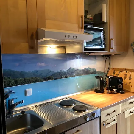 Lägenhet Wohlfuehlapartment Dachsteinblick *