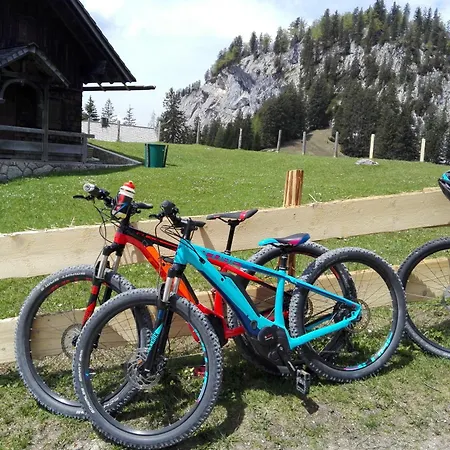 Wohlfuehlapartment Dachsteinblick Bad Goisern