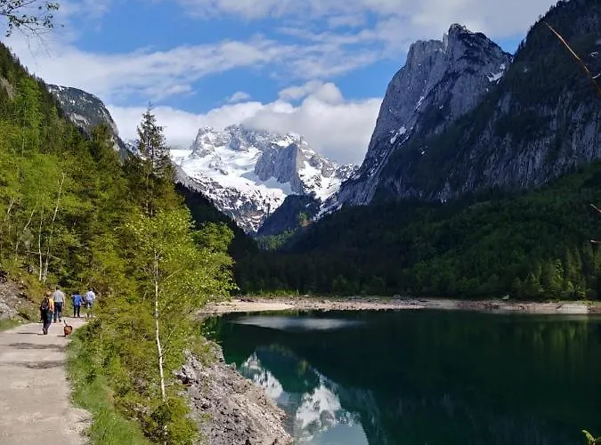 Wohlfuehlapartment Dachsteinblick *