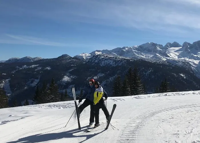 Apartmán Wohlfuehlapartment Dachsteinblick Bad Goisern
