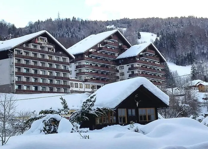 Wohlfuehlapartment Dachsteinblick