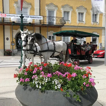 Wohlfuehlapartment Dachsteinblick Daire *