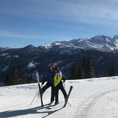 Daire Wohlfuehlapartment Dachsteinblick Bad Goisern