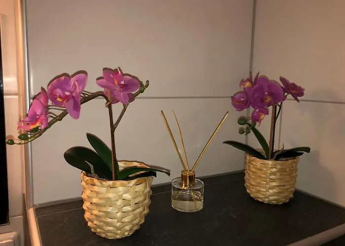 Wohlfuehlapartment Dachsteinblick Appartement *