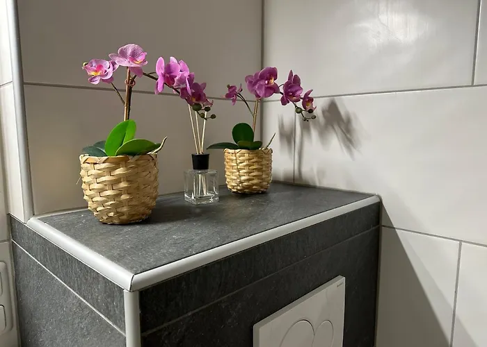 Apartman Wohlfuehlapartment Dachsteinblick Bad Goisern