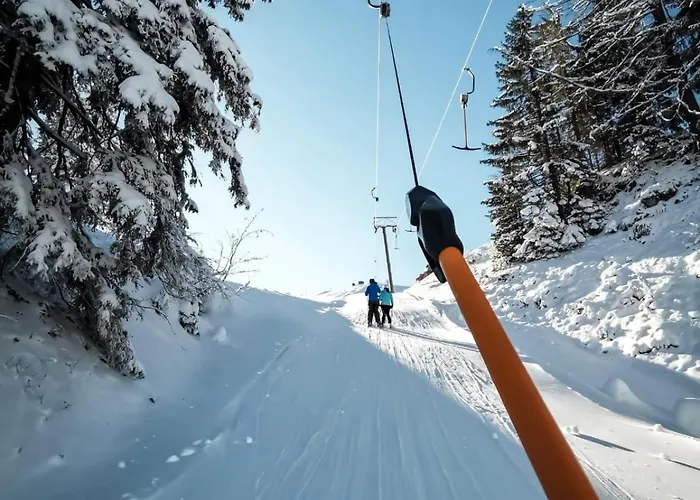 Wohlfuehlapartment Dachsteinblick Apartman *